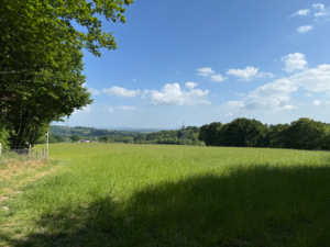 may sun